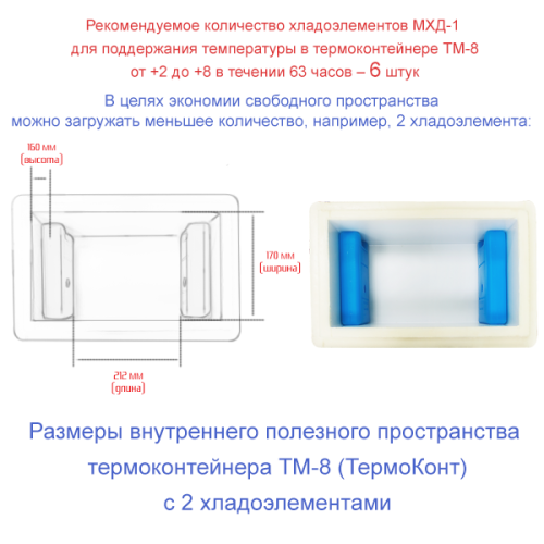 Термоконтейнер медицинский ТМ-8 в сумке-чехле фото 8