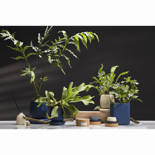 Диффузор ароматический cypress, jasmine & patchouli из коллекции edge, 200 мл фото 7