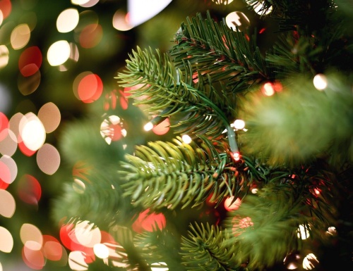 Искусственная ель ДЖОРДЖИЯ СТРОЙНАЯ (литая хвоя PE+PVC), зелёная, 2550 красных/тёплых белых LED-огней, 2.74 м, A Perfect Christmas фото 5