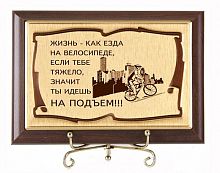 Плакетка "Жизнь как езда на велосипеде" (сублимация) - размер 120 см, материалы МДФ и металл, цвета коричневый и золотой