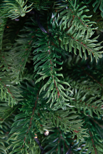 Искусственная ель Власта зеленая с вплетенной гирляндой, Crystal Trees фото 10