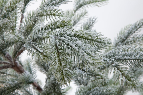 Искусственная ель БОЛЬЕРИ в снегу, Crystal Trees фото 7