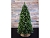 Искусственная елка Императрица заснеженная с шишками 215 см, ПВХ, Triumph Tree