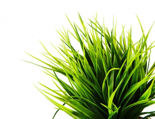Искусственное растение "Декоративная трава", в горшке, пластик, 12 см, Boltze фото 3