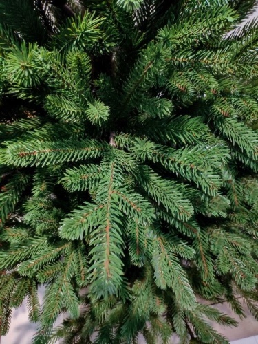 Искусственная ель "Вермонт" (хвоя - 100% литье), зелёная, Nordic Collection фото 5