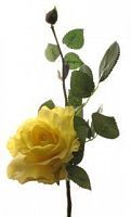 Роза Лимбо с почкой  ярко желтая 30 см живое прикосновение (36 шт.в упак.)