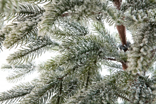 Искусственная ель БОЛЬЕРИ в снегу, Crystal Trees фото 4