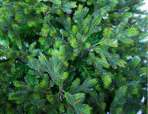 Искусственная елка Грацио Премиум, ЛИТАЯ + ПВХ, GREEN TREES фото 2