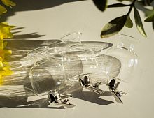 Набор вазочек на клипсе "Милли", стекло, прозрачный, 3 шт., 6х4 см, Edelman