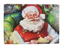 Подарочный пакет ВМЕСТЕ С САНТОЙ: ПОРАДУЕМСЯ, бумага, 55х40 см, Due Esse Christmas