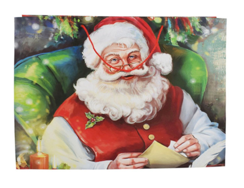 Подарочный пакет ВМЕСТЕ С САНТОЙ: ПОРАДУЕМСЯ, бумага, 55х40 см, Due Esse Christmas