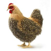 Игрушка "Курица палевая", 35 см, HANSA